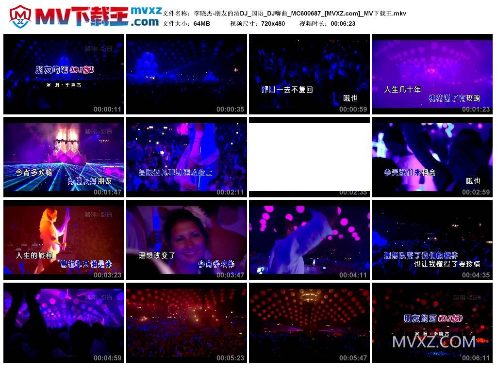 李晓杰-朋友的酒DJ_国语_DJ嗨曲_MC600687